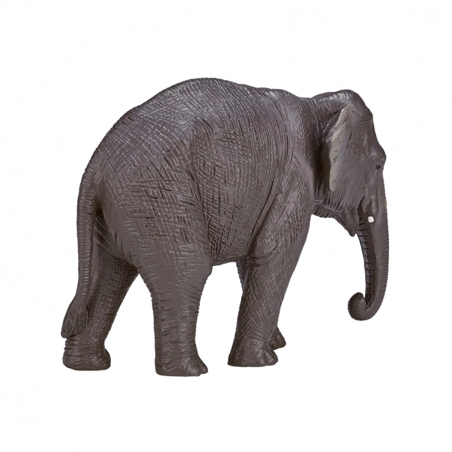 Elefante Indiano di Mojo