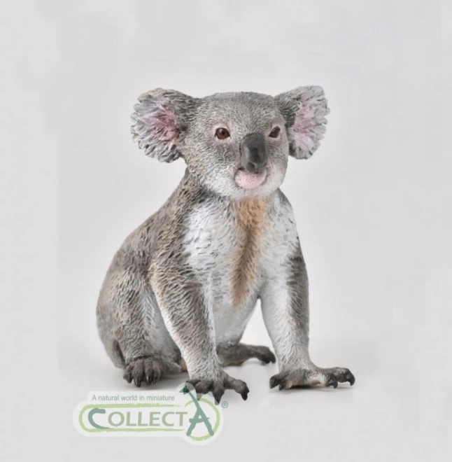 Koala CollectA