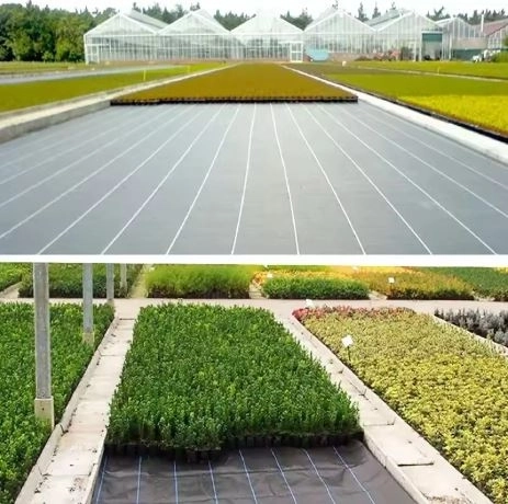 tessuto agro nero 1,1x100m UV 135g contro le erbacce + ancore