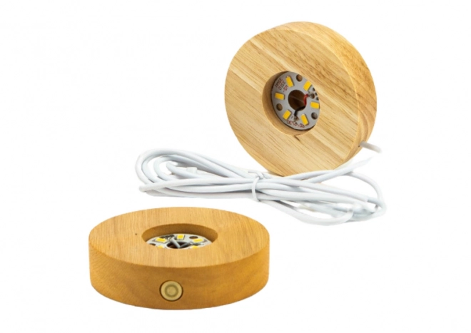 Lampada 3D a sfera in cristallo con medusa e base in legno