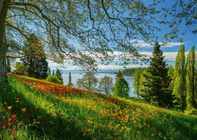 Puzzle Tulipani in Fiore a Mainau 1000 Pezzi