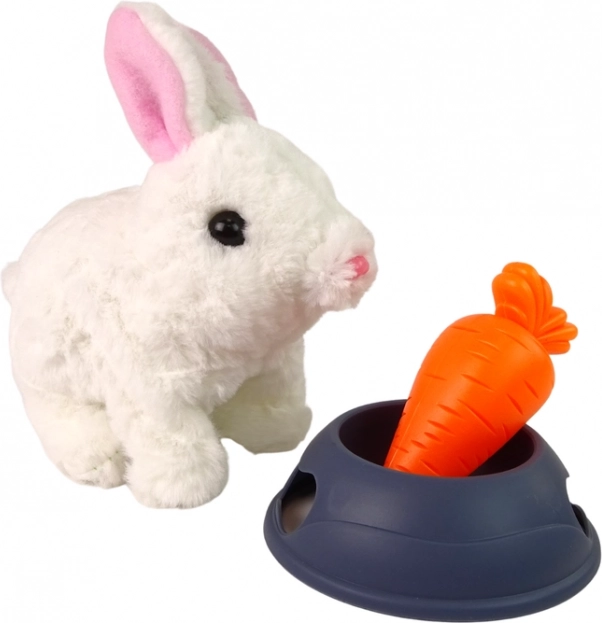 Gioco realistico con ciotola e carota