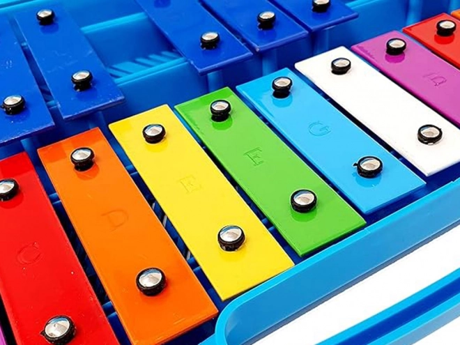 Cromatica per Bambini Set Educativo