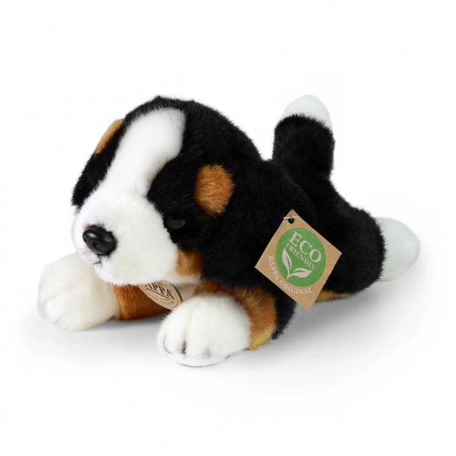 Bernese Mountain Dog giocattolo ecologico 20 cm