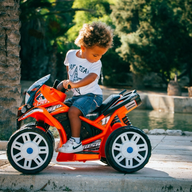 Quad Elettrico per Bambini The Beast 6V