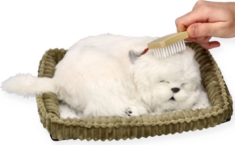 Cura e coccole come con un vero cagnolino