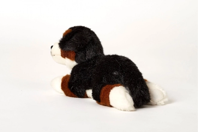 Peluche cane di montagna bernese 25 cm