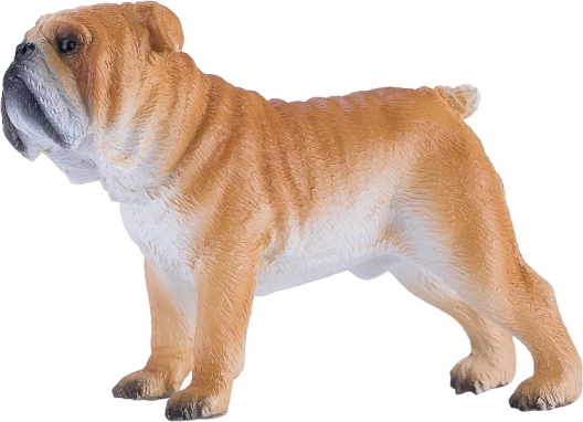 Realizzazione realistica del bulldog inglese