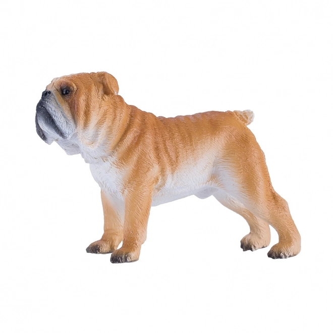 Figura Bulldog Inglese Realistica