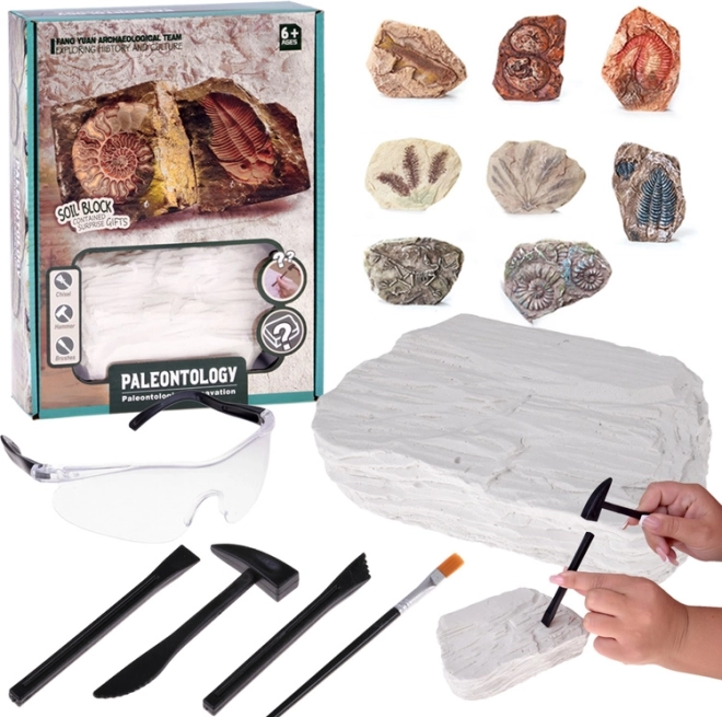 Set archeologico scavazioni – sorpresa teschio fossile