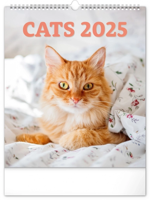 Calendario da parete Gatti 2025