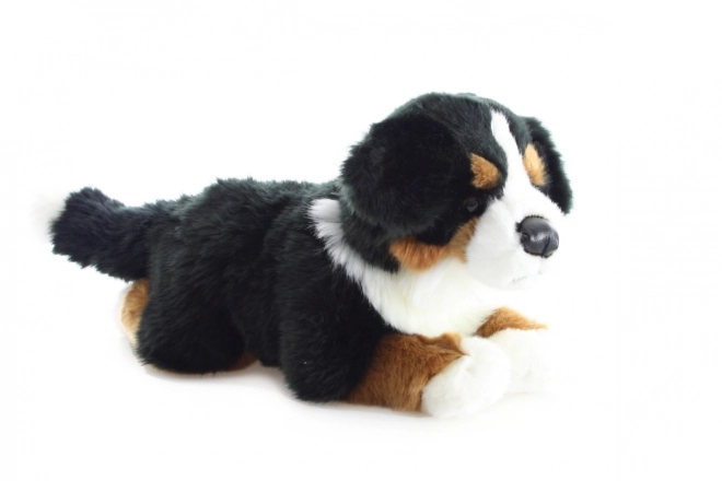 Peluche Cane di Montagna Bernese 40 cm