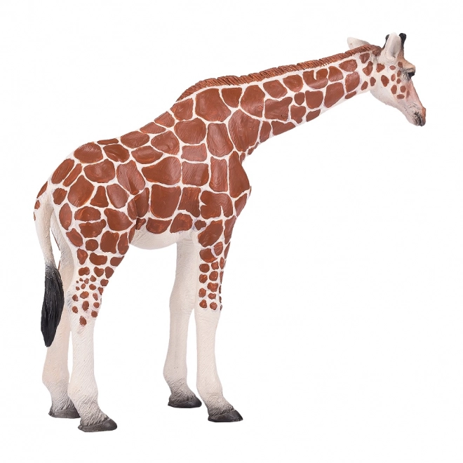 Mojo giraffa femmina