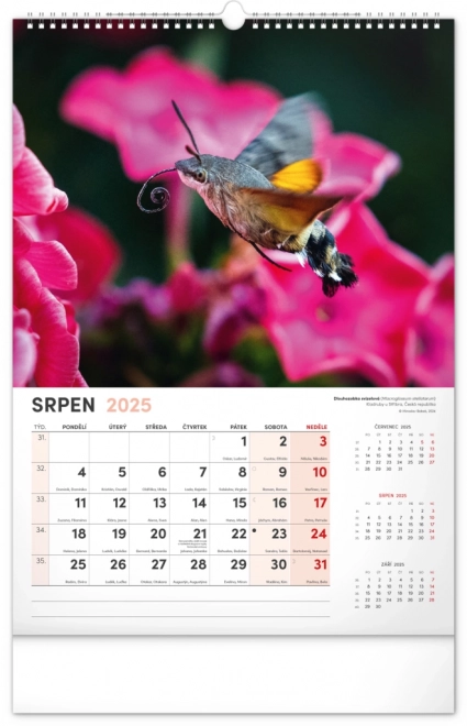 Notique calendario da parete animali affascinanti 2025