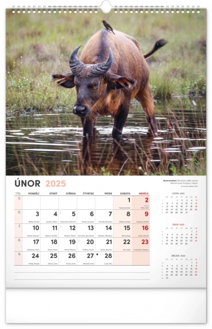 Notique calendario da parete animali affascinanti 2025