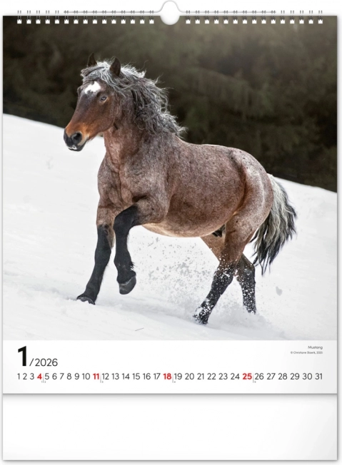 Calendario da parete cavalli 2026