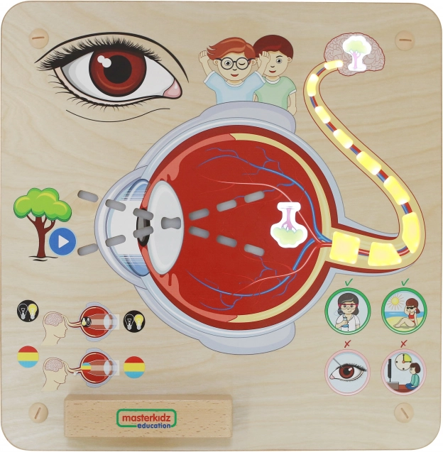 Masterkidz Pannello Educativo Sensoriale Vista Montessori