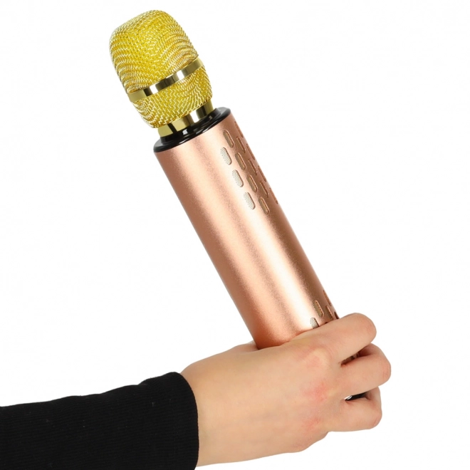 Microfono karaoke wireless Bluetooth nero – Oro