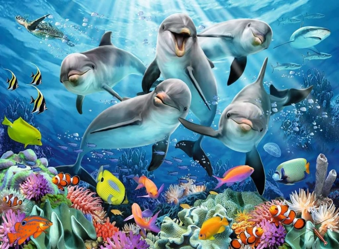 Motivo suggestivo di delfini e barriera corallina