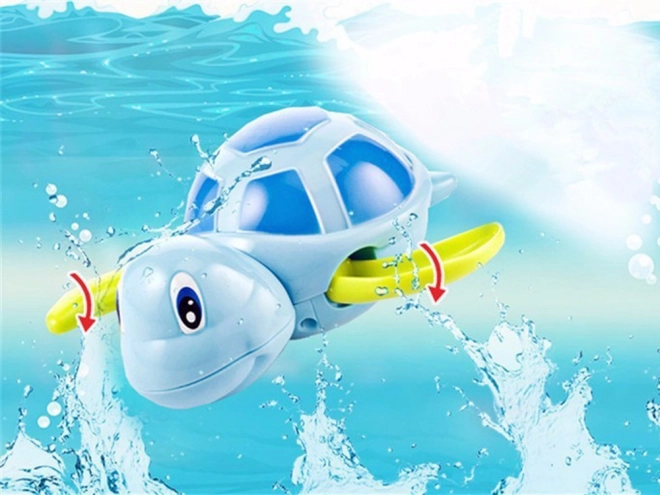 Tartaruga da bagno a carica