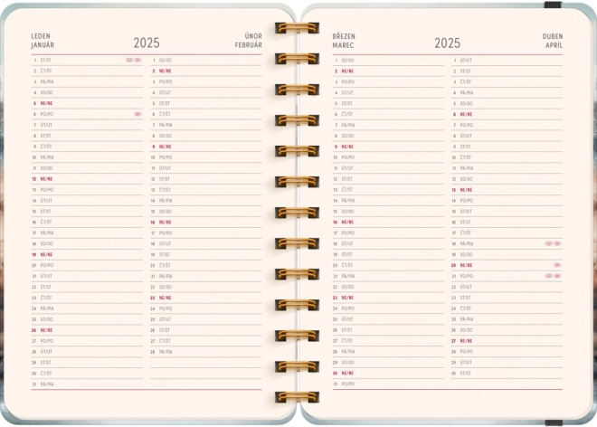 Agenda Notique Petito Giappone 2024/2025