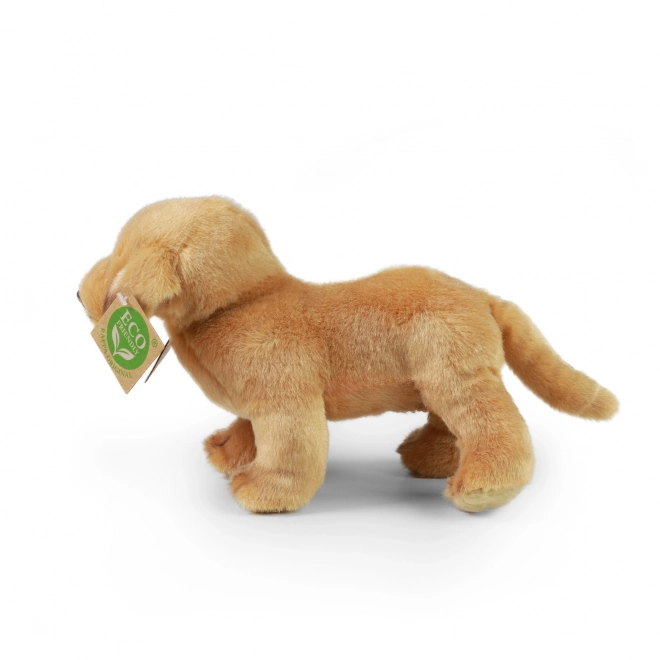 Labrador di Peluche 20 cm ECO-FRIENDLY