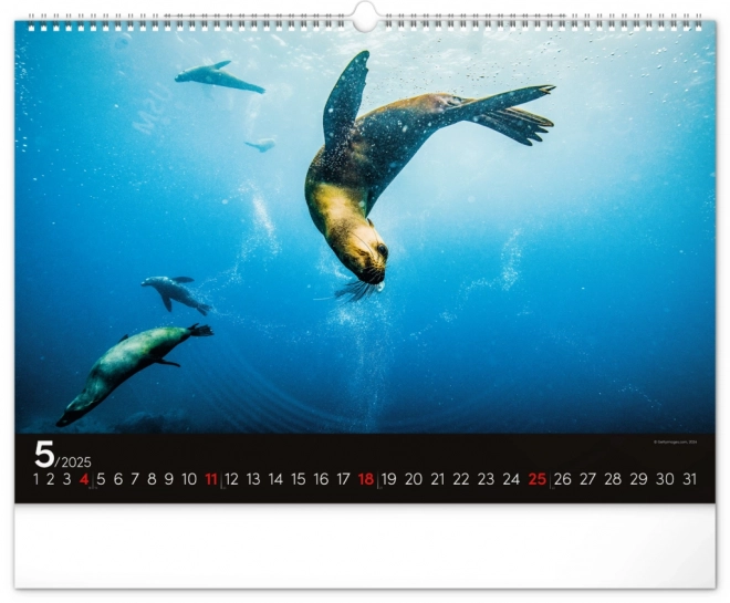 Calendario da parete Oceano 2025