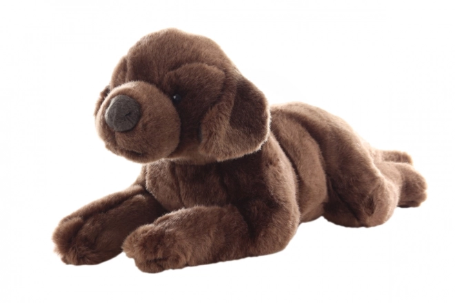 Peluche Labrador 40 cm Eco-Friendly