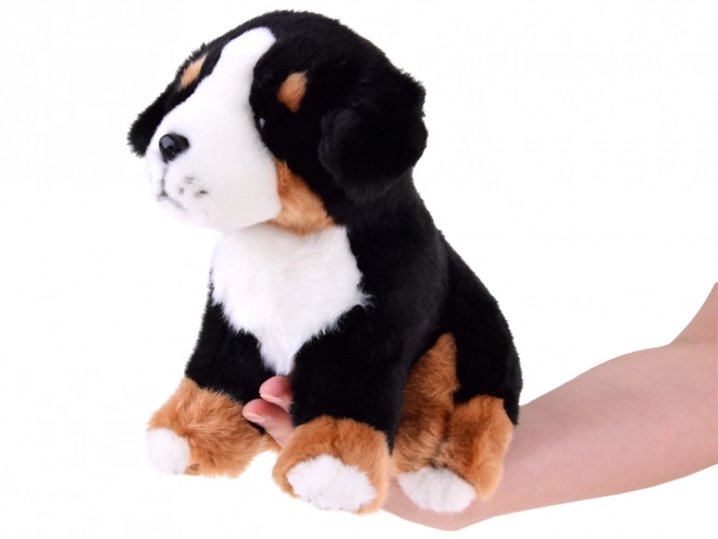 Cane bernese seduto 20 cm