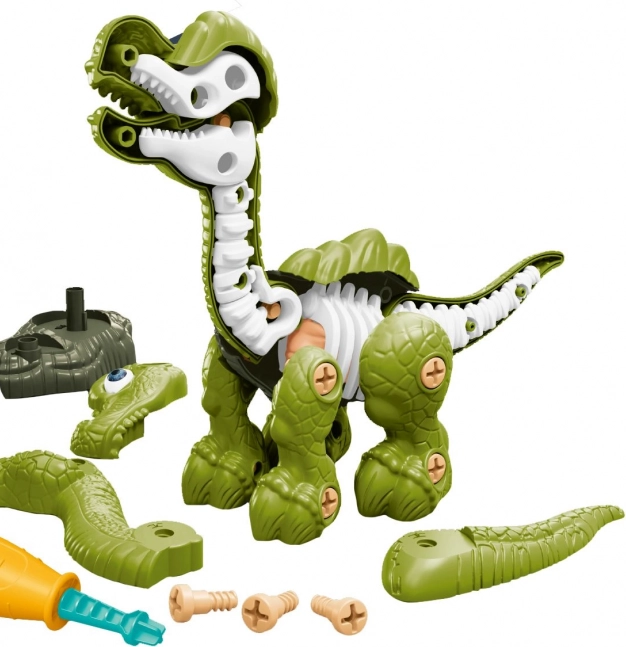 Dinosauro con scheletro avvitabile verde