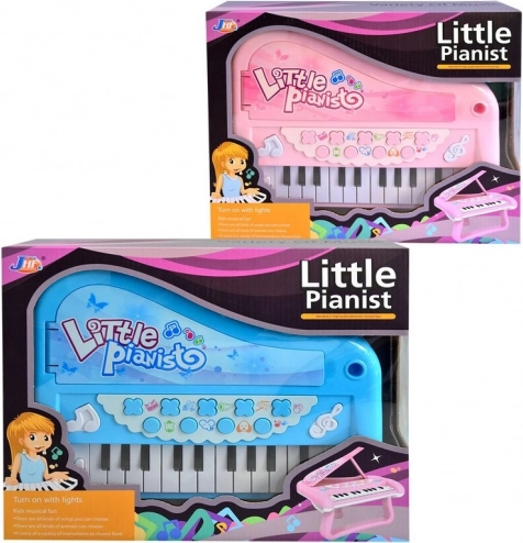 Pianoforte elettronico a batteria 29 cm
