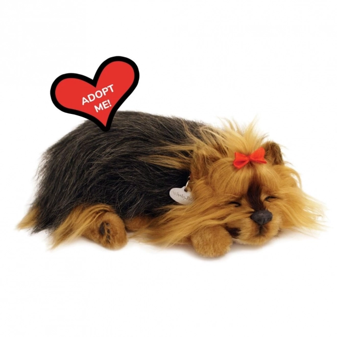 Cucciolo che russa York Perfect Petzzz