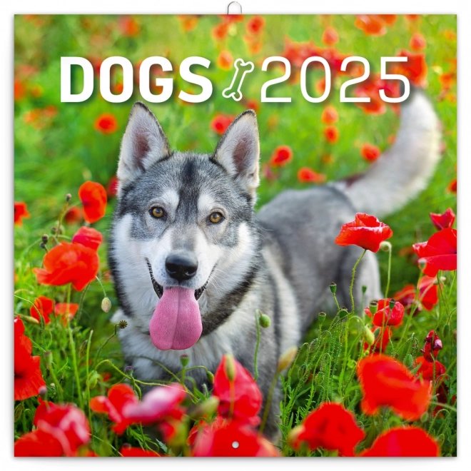 Calendario per appunti Cani 2025