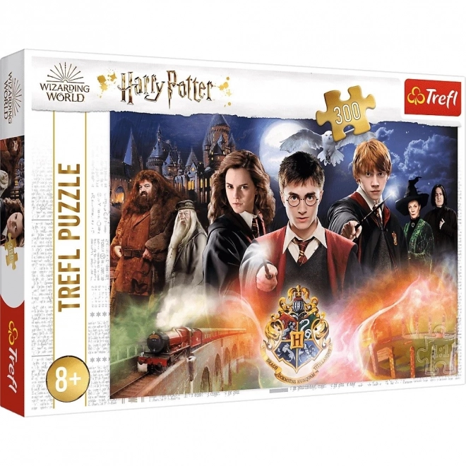 Puzzle 300 Pezzi Misterioso Harry Potter