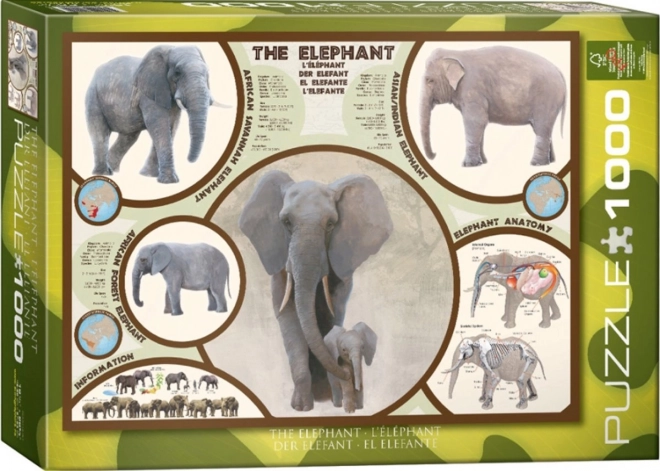 Puzzle Elefante 1000 Pezzi