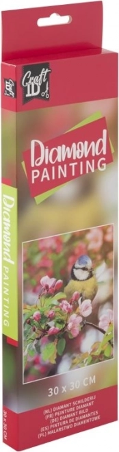 Pittura Diamante Soggetto Cinciallegra