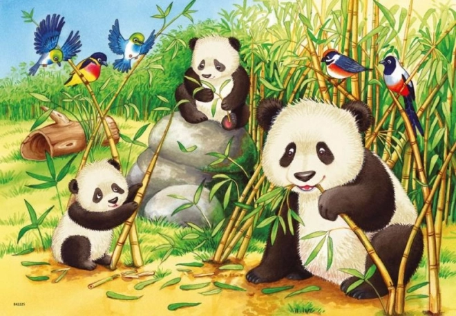 Puzzle Koala e Panda 2x24 Pezzi