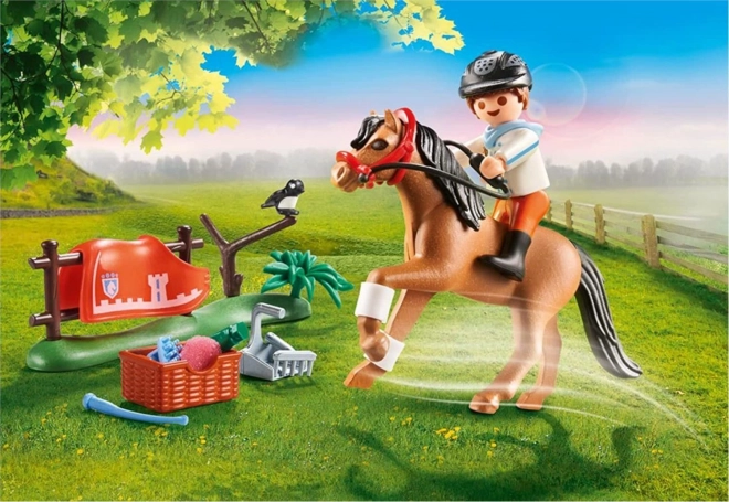 Playmobil Country Pony Connemara