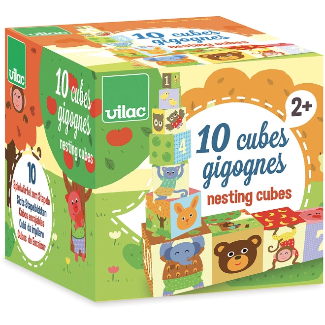 Set di 10 blocchi impilabili