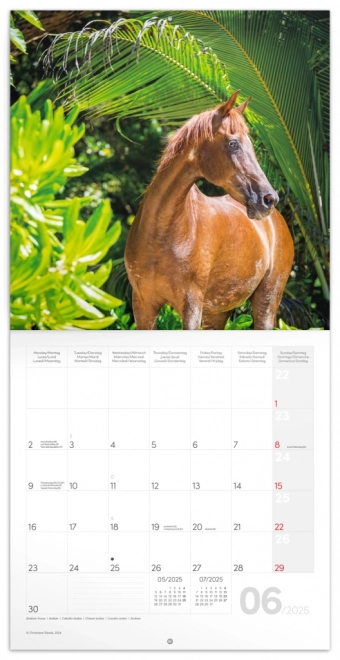 Calendario con foto di cavalli di Christiane Slawik 2025