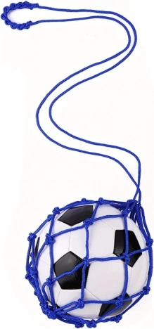 Allenatore di calcio