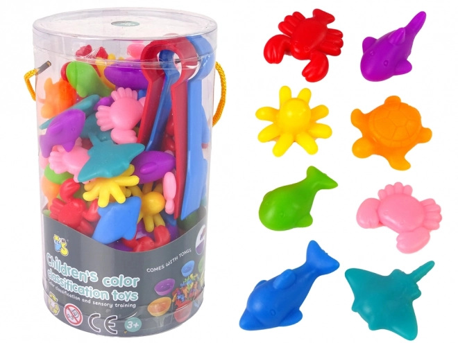 Gioco di Smistamento dei Colori Animali Marini