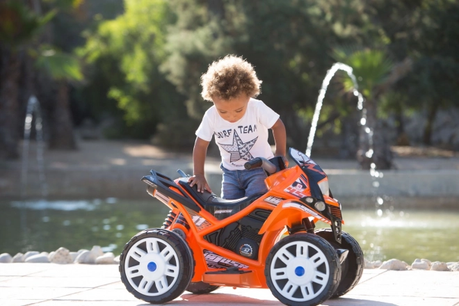 Quad Elettrico per Bambini The Beast 6V