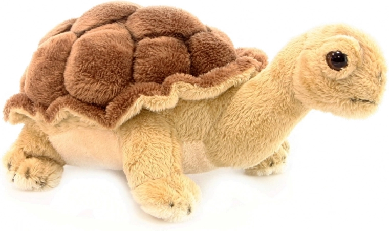 Aspetto realistico con carapace dettagliato