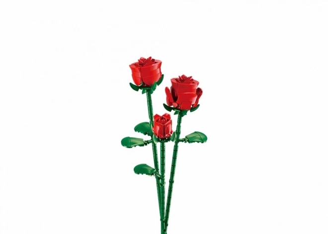 Rosa rossa in vaso Sluban
