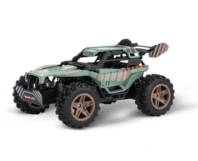 Auto RC Corsa da Montagna