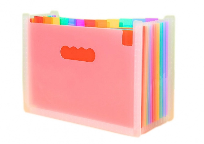 Organizzatore per documenti con linguette colorate e tasche formato A4