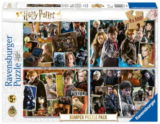 Set puzzle di Harry Potter 4x100 pezzi