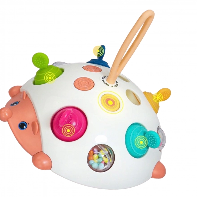 Giocattolo sensoriale riccio 4 in 1