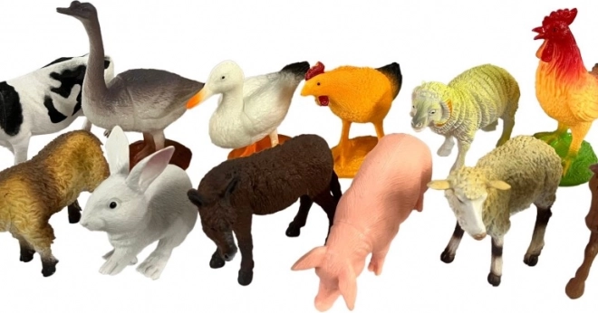 Animali Domestici Set in Scatola da Esposizione